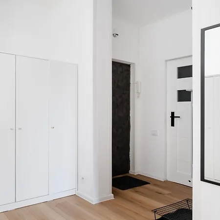 Soft - Kot Z Gazeta - Centrum By Bookinghost