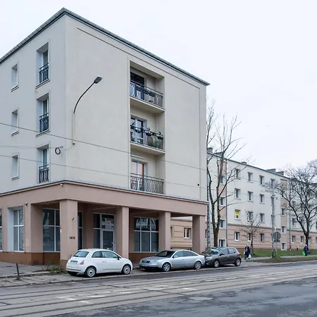 Soft - Kot Z Gazeta - Centrum By Bookinghost Daire