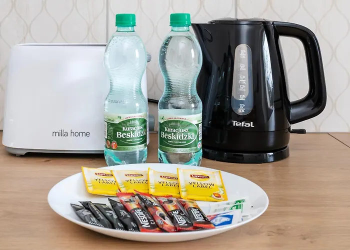 Soft - Kot Z Gazeta - Centrum By Bookinghost Łódź