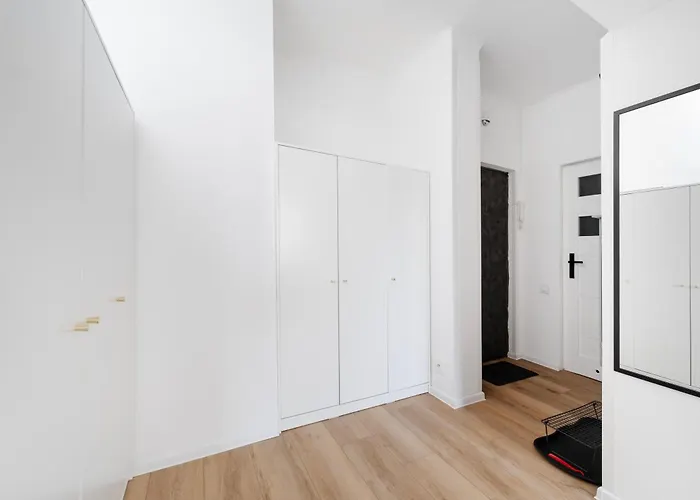 Soft - Kot Z Gazeta - Centrum By Bookinghost * Łódź