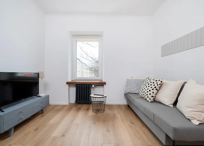 Soft - Kot Z Gazeta - Centrum By Bookinghost * Łódź