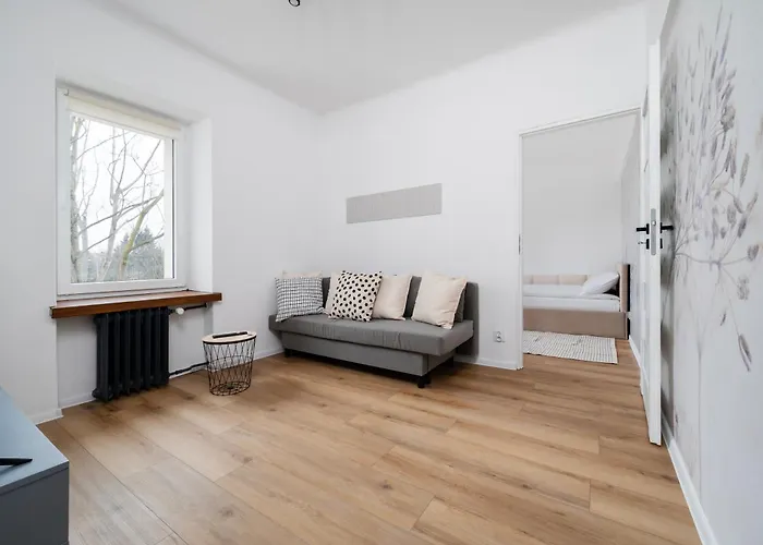 Soft - Kot Z Gazeta - Centrum By Bookinghost *